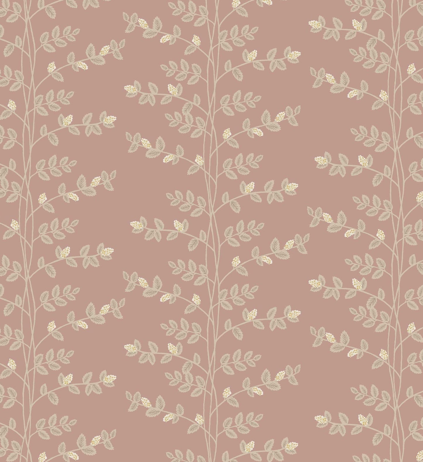 Climbing Vines Wallpaper - Rose